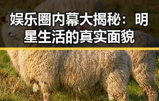 娱乐圈内幕大揭秘：明星生活的真实面貌