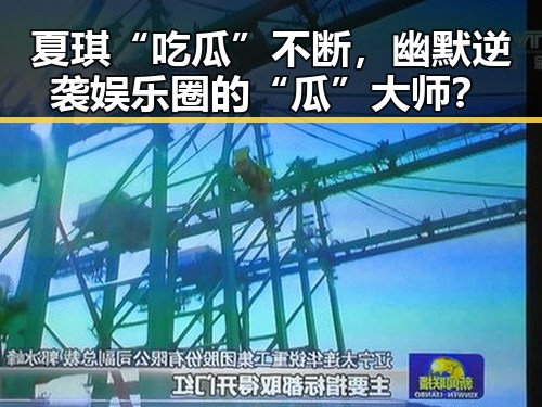夏琪“吃瓜”不断，幽默逆袭娱乐圈的“瓜”大师？