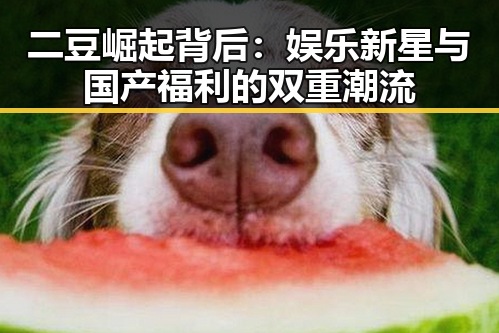 二豆崛起背后：娱乐新星与国产福利的双重潮流